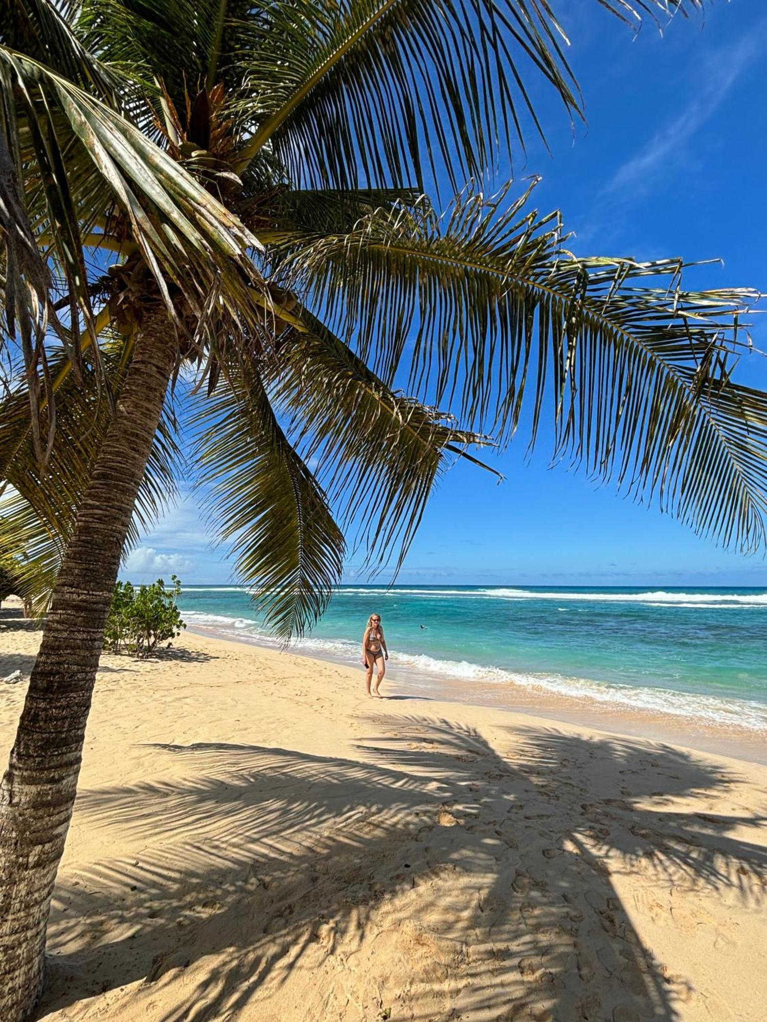 La Maison Creole Du Flamboyant - Proche Des Plages Villa Anse-Bertrand Luaran gambar