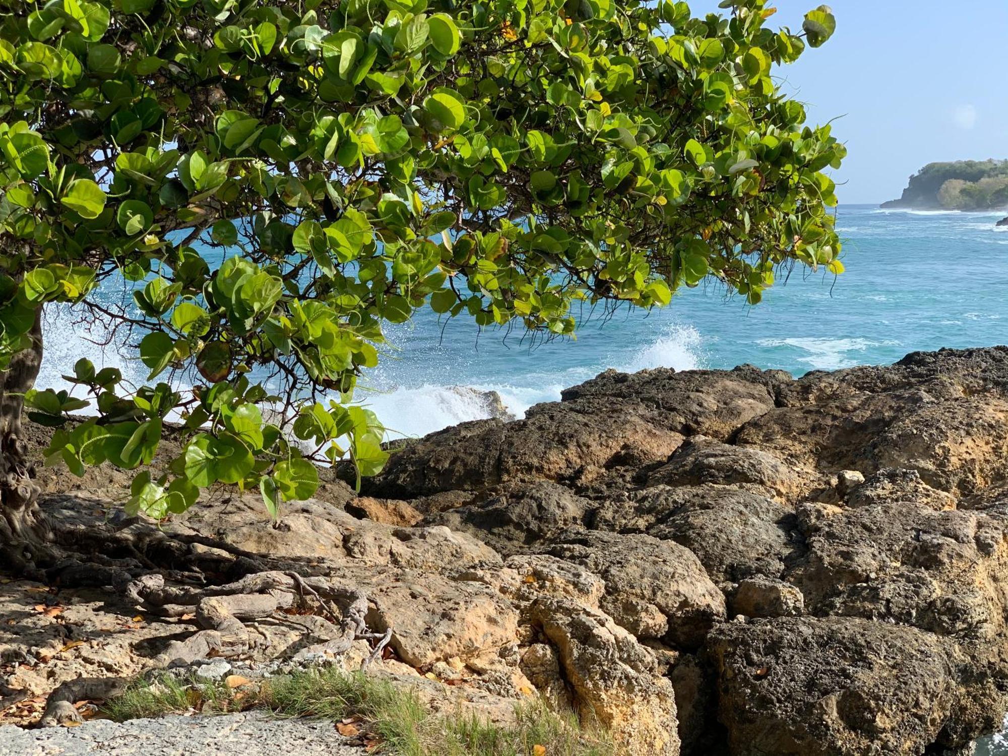 La Maison Creole Du Flamboyant - Proche Des Plages Villa Anse-Bertrand Luaran gambar